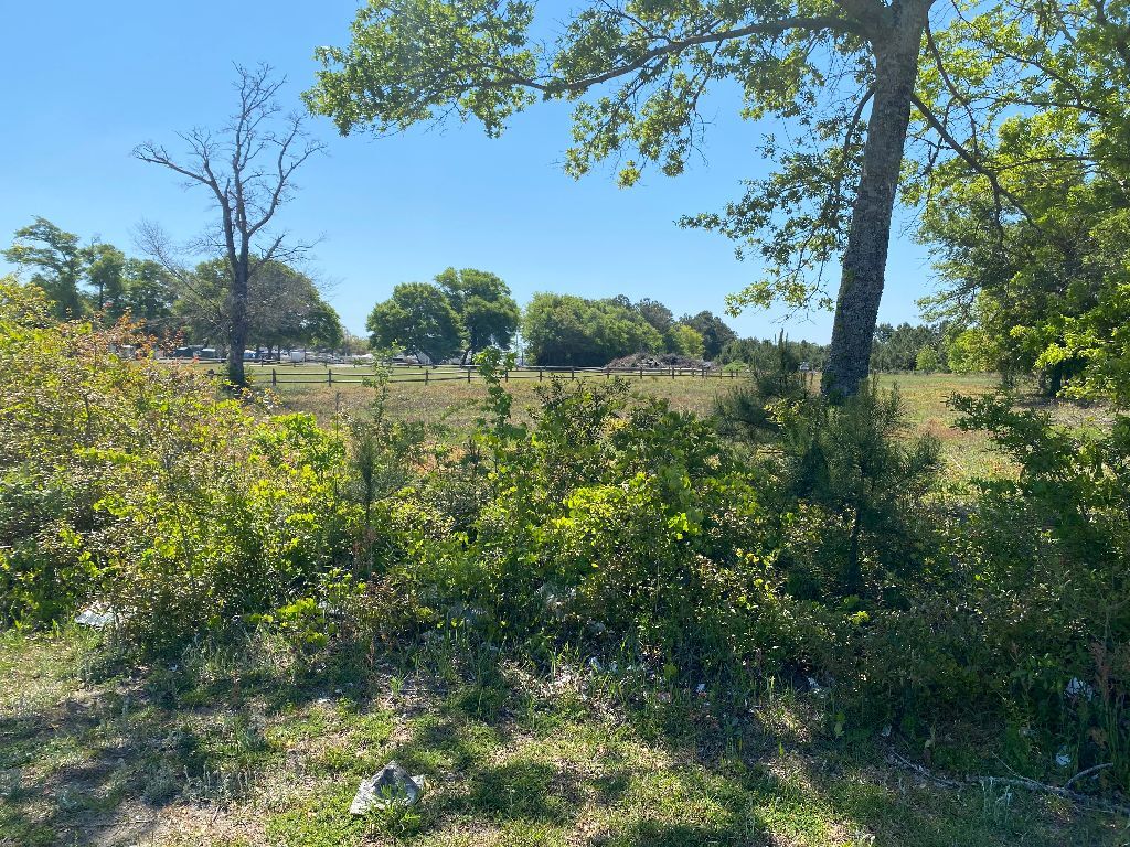 Cedar Point board approves 2 gated subdivisions as residential growth continues